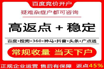 知名SEM公司案例分析：优化策略与成果